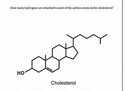 Image result for Cholesterol Molecule with Hydrogen