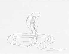 Image result for Cobra Snake Pattern