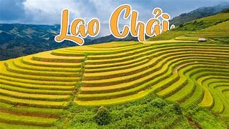 Image result for Đường Ruộng