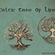 Image result for Celtic Symbol for Honor