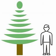 Image result for 12 Foot Christmas Tree