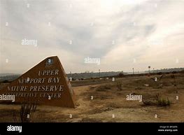 Image result for Upper Newport Bay Nature Preserve