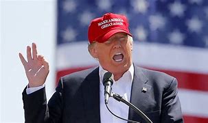 Image result for Funny Maga Hat