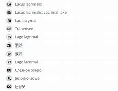 Image result for Lacus Lacrimalis