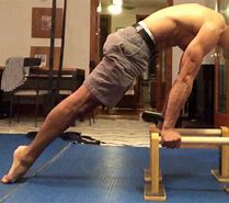 Image result for Planche Practice