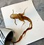 Image result for Coffee Stained Painting