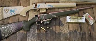 Image result for 6Mm Arc Bolt Action Rifles