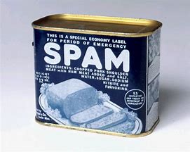 Image result for Antique Spam Can