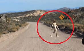 Image result for USA Map Area 51