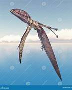 Image result for Dimorphodon Illustration