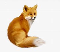 Image result for Realistic Cartoon Fox