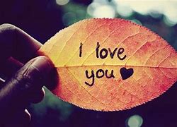 Image result for I Love You Heart Pictures