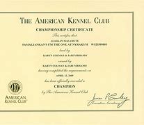 Image result for AKC DNA Certificate