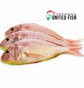 Image result for Trosan Fish