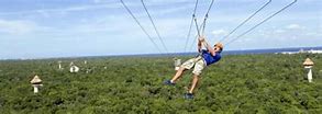 Image result for Playa Del Carmen Tours