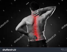 Image result for Human Spine Black and White