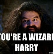 Image result for Wizard Harry