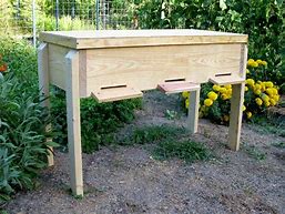 Image result for Long Bee Hive Plans