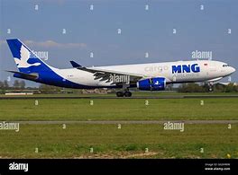 Image result for Airbus A333