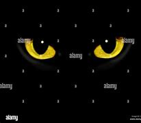 Image result for Cat Eyes at Night