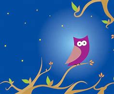 Image result for Night Owl Graphics