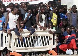 Image result for Italian Migration