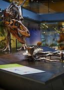 Image result for Dinosaur Tar Pit