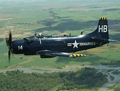 Image result for USMC Skyraider