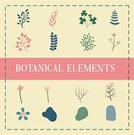 Image result for Botanical Illustrations Free