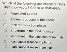 Image result for Chytridiomycota Characteristics