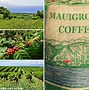 Image result for Hawaii Coffee Farm