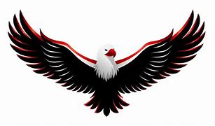 Image result for Eagel with Blue and Red Wings