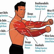 Image result for Arm Workout with Equipment