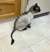 Image result for Smerf Cat with Hair