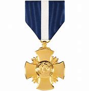 Image result for Navy Cross Medal