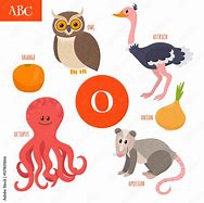 Image result for Letter O Design Cartoon