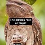 Image result for Clean Work Memes Funny Animals