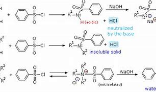 Image result for Amine Reacts with CH3COCl