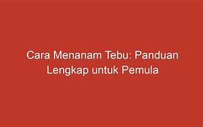 Image result for Menanam Tebu