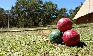 Image result for Bocce Team Names Clever