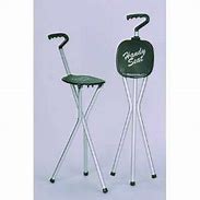 Image result for Best Walking Cane with Seat