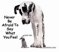 Image result for Big Dog Quotes