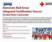 Image result for American Red Cross Lifeguard Certification Badges