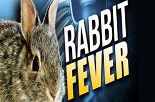 Image result for Rabbit Spring Fever