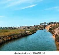 Image result for Upper Newport Bay Nature Preserve