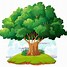 Image result for Pokok Cartoon