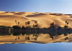 Image result for Beautiful Desert Oasis