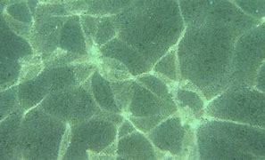 Image result for Ocean Floor Texture