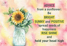 Image result for Bright Sunny Morning