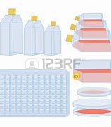 Image result for PCR Clip Art